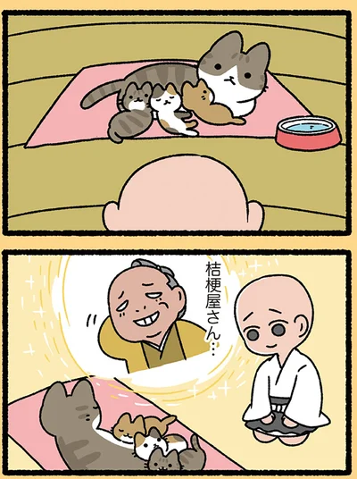 桔梗屋さん…