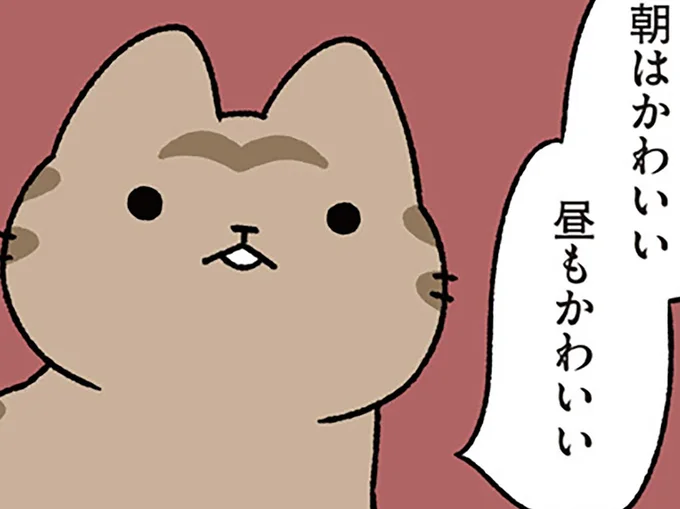 朝はかわいい 昼もかわいい