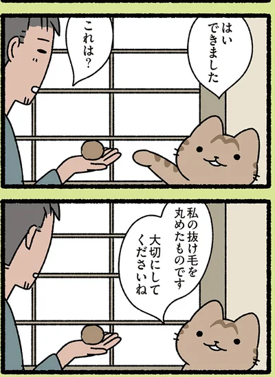 これは？