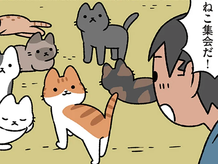 【浦島太郎とねこ】「うわあ、夢みたい」助けたねこについていくと