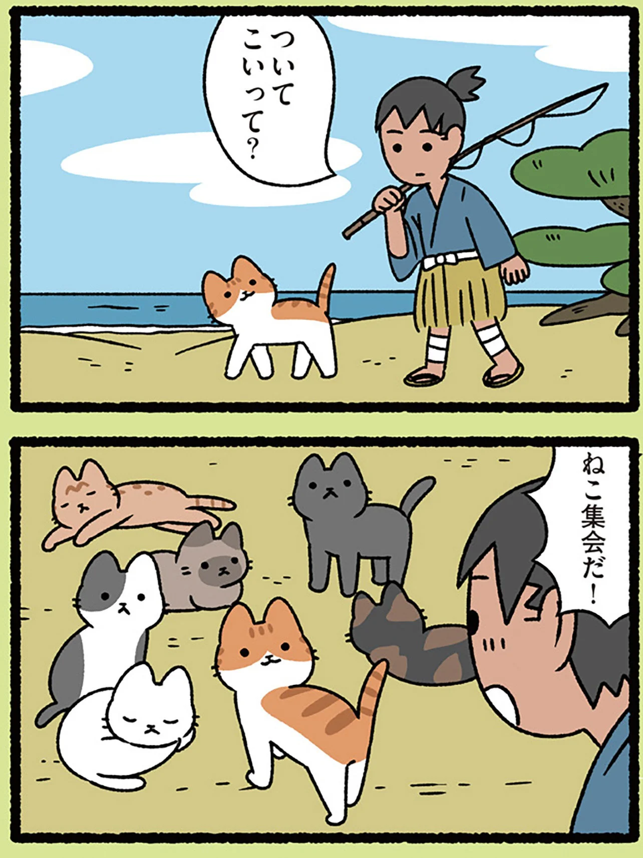 浦島太郎とねこ】「うわあ、夢みたい」助けたねこについていくと