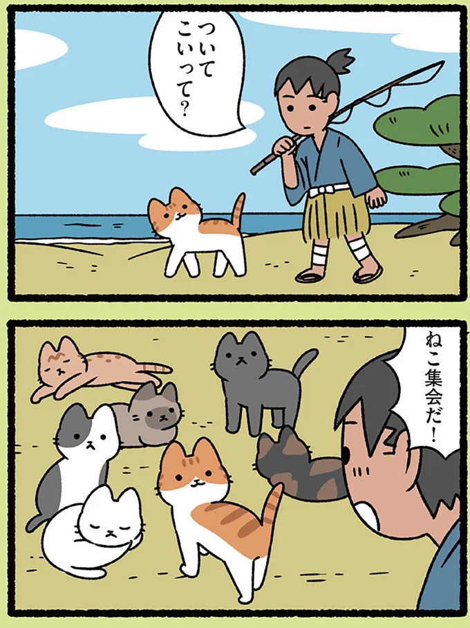 ついてこいって?