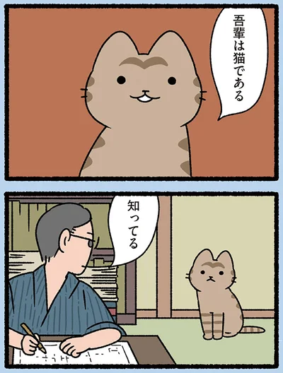 知ってる
