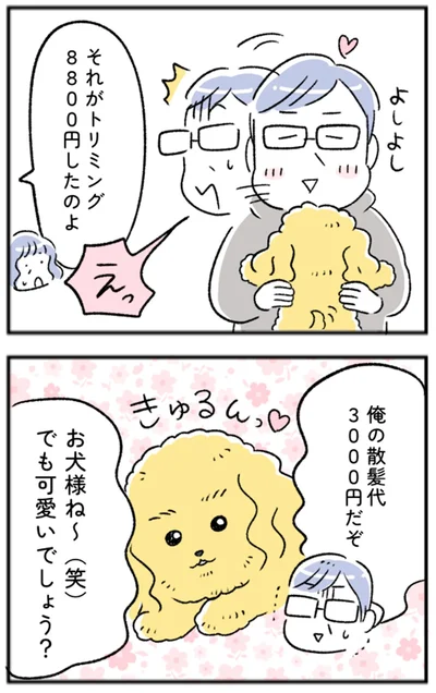お犬様ね～