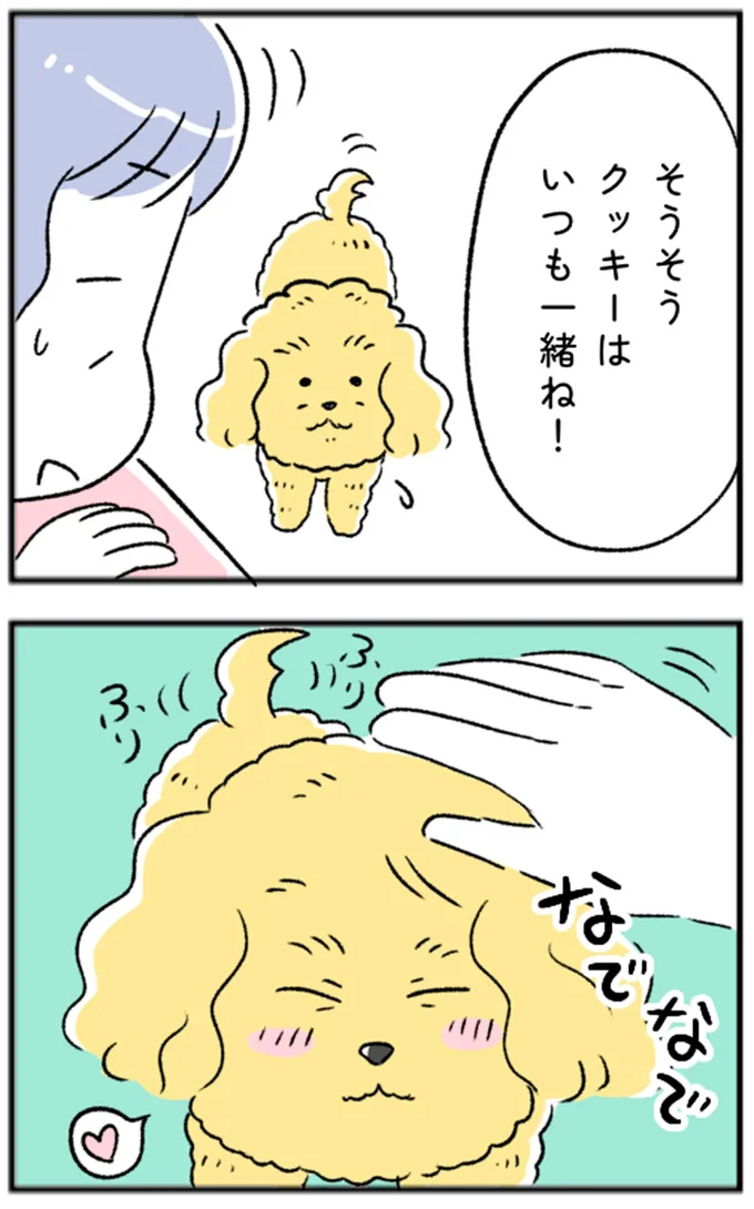 クッキーはいつも一緒ね!