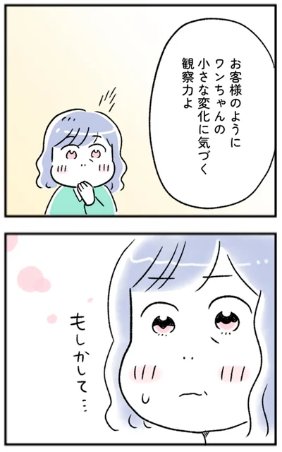 ワンちゃんの小さな変化に気づく観察力よ