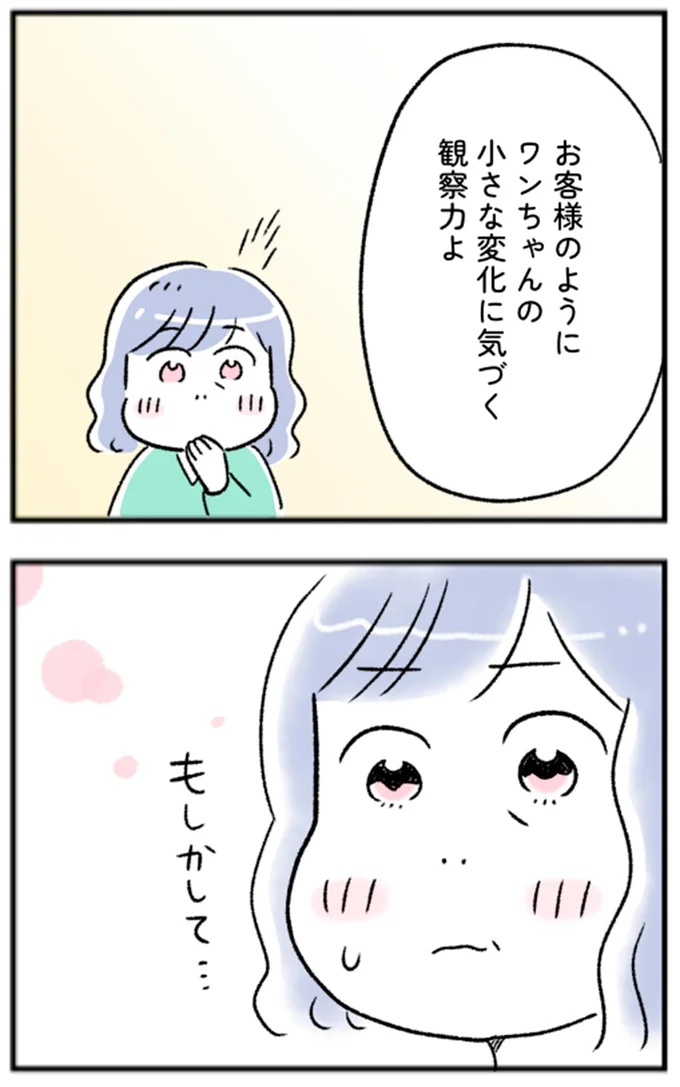 ワンちゃんの小さな変化に気づく観察力よ