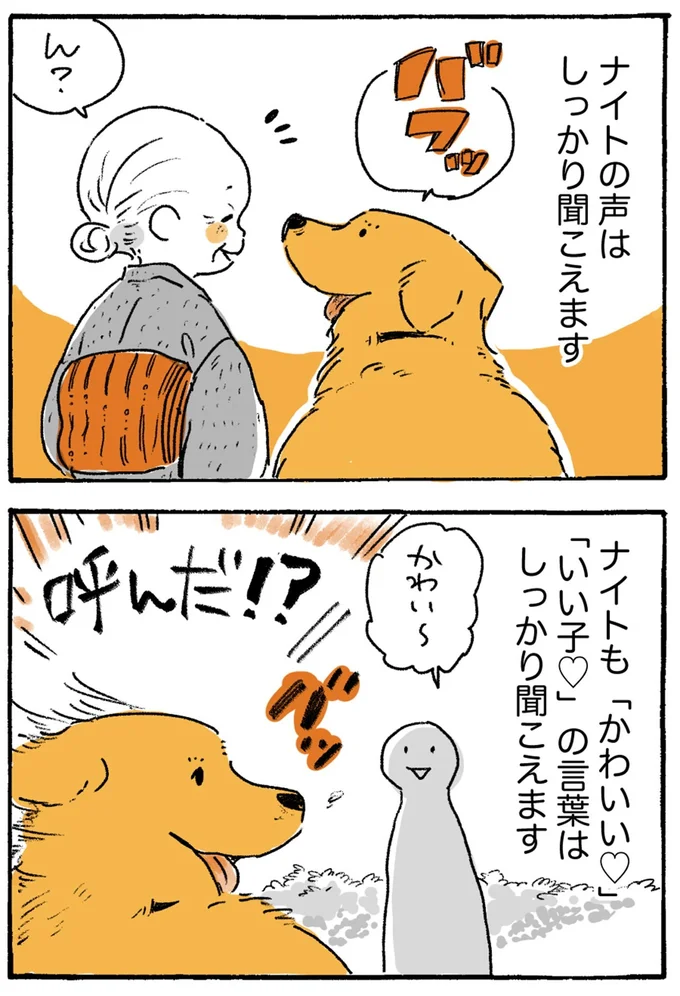 呼んだ!?