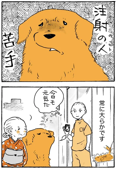 常に大らかです