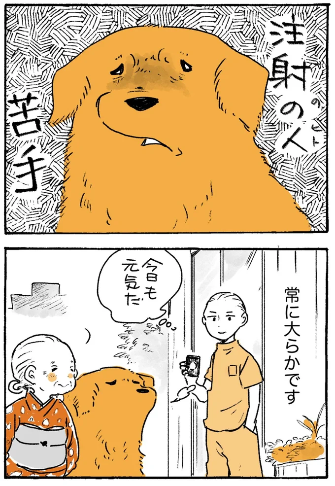常に大らかです