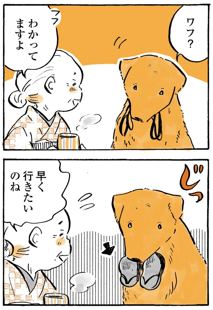 『姫ばあちゃんとナイト-ふたりはきょうも』より