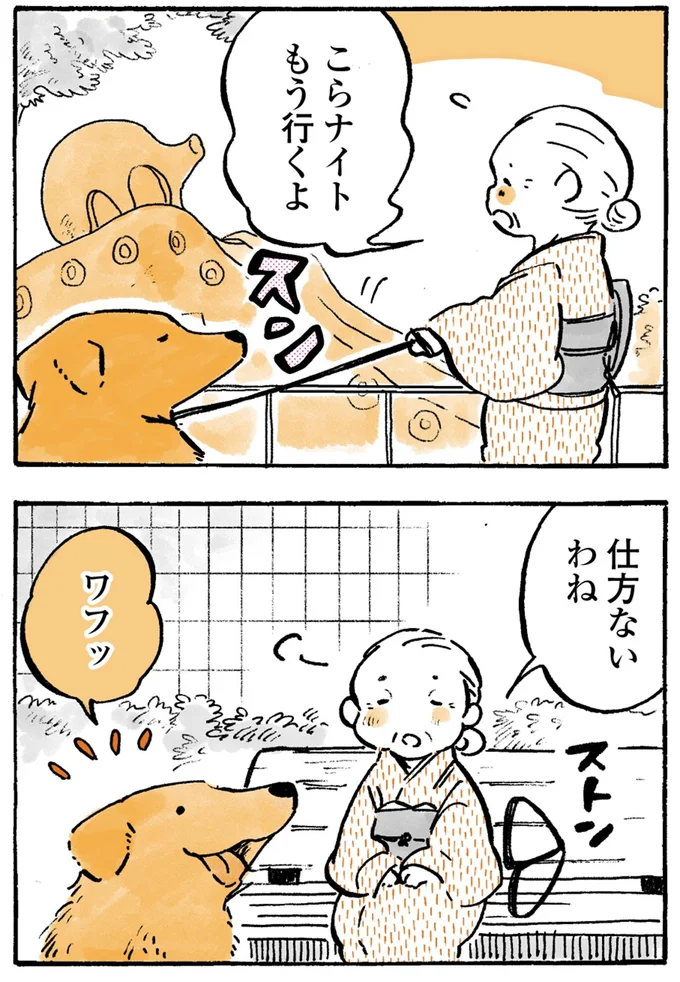 『姫ばあちゃんとナイト-ふたりはきょうも』より