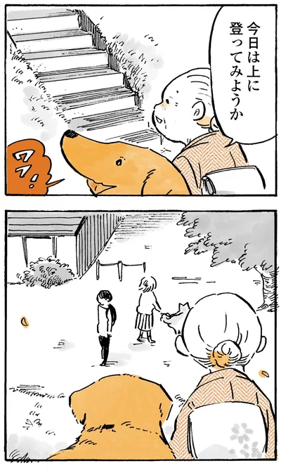 『姫ばあちゃんとナイト-ふたりはきょうも』より