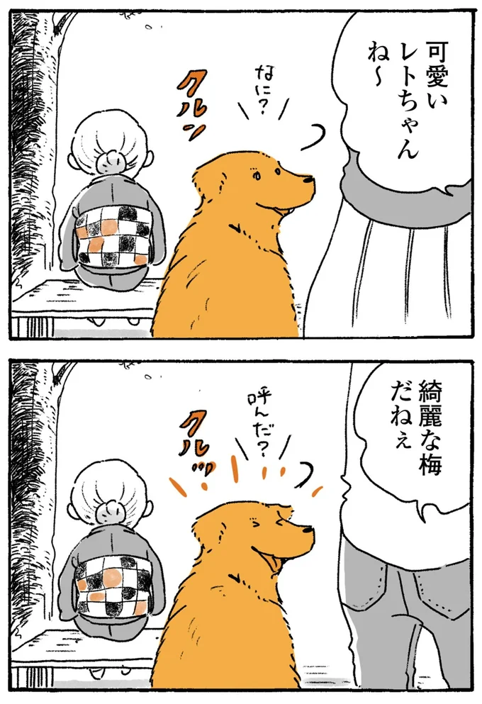 『姫ばあちゃんとナイト-ふたりはきょうも』より