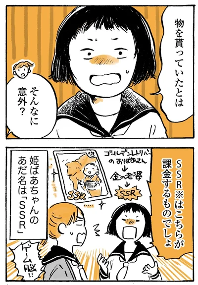 『姫ばあちゃんとナイト-ふたりはきょうも』より