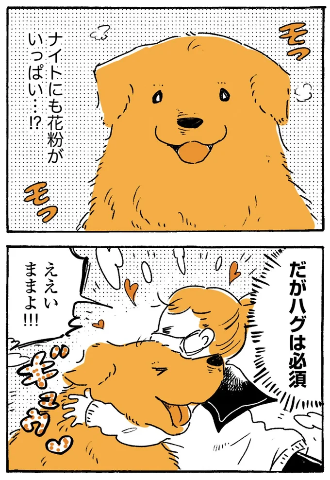 『姫ばあちゃんとナイト-ふたりはきょうも』より