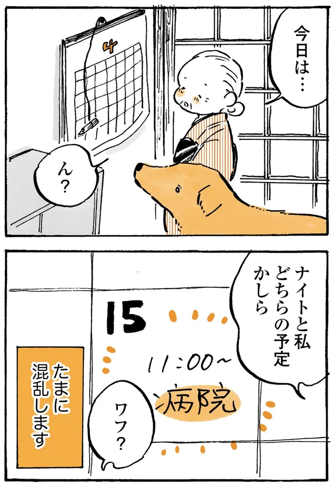 『姫ばあちゃんとナイト-ふたりはきょうも』より