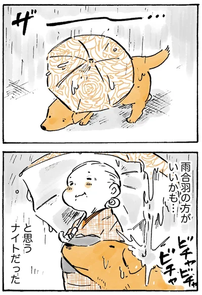 『姫ばあちゃんとナイト-ふたりはきょうも』より