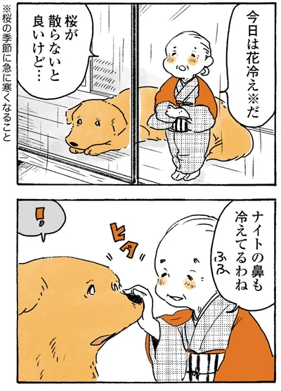 『姫ばあちゃんとナイト-ふたりはきょうも』より