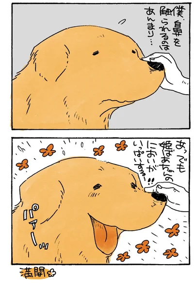 『姫ばあちゃんとナイト-ふたりはきょうも』より