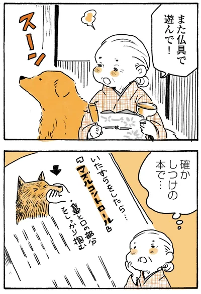 『姫ばあちゃんとナイト-ふたりはきょうも』より