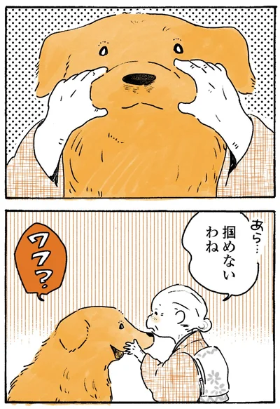 『姫ばあちゃんとナイト-ふたりはきょうも』より