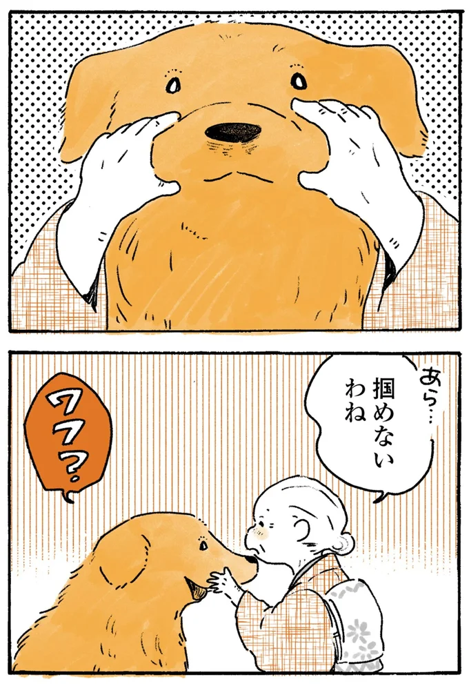 『姫ばあちゃんとナイト-ふたりはきょうも』より