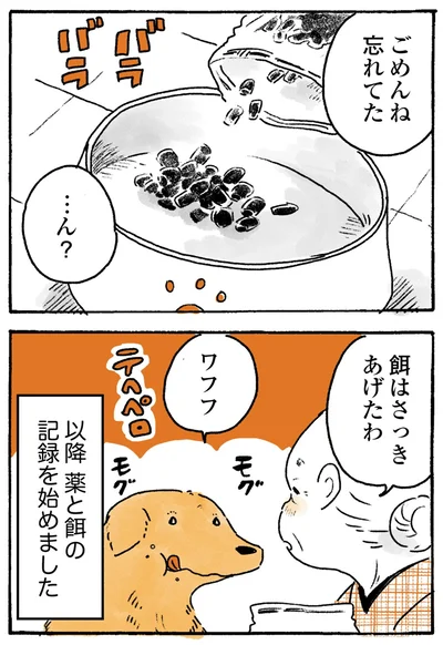 『姫ばあちゃんとナイト-ふたりはきょうも』より