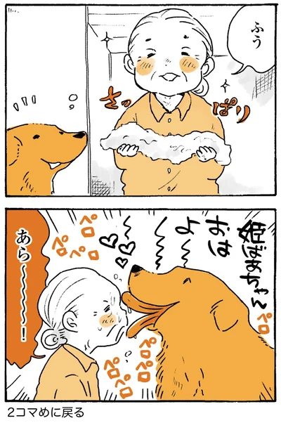 『姫ばあちゃんとナイト-ふたりはきょうも』より