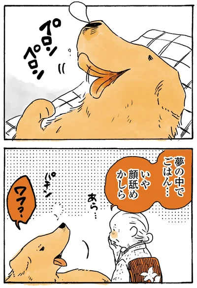 『姫ばあちゃんとナイト-ふたりはきょうも』より
