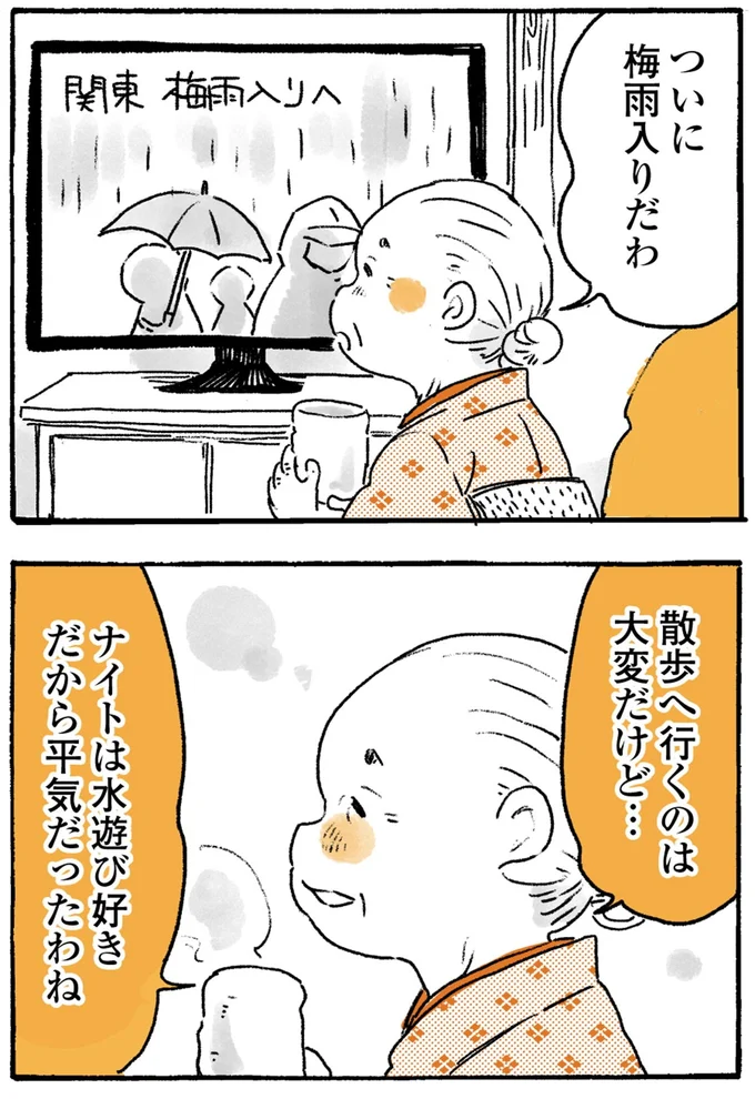 『姫ばあちゃんとナイト-ふたりはきょうも』より