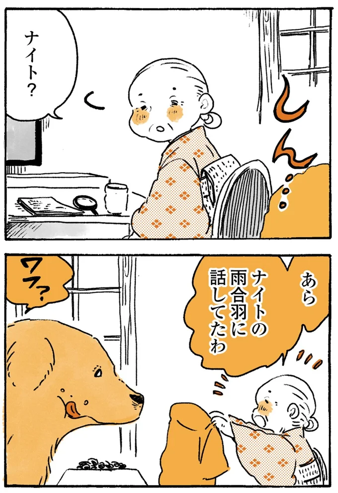 『姫ばあちゃんとナイト-ふたりはきょうも』より