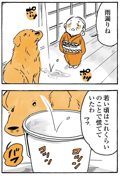 『姫ばあちゃんとナイト-ふたりはきょうも』より