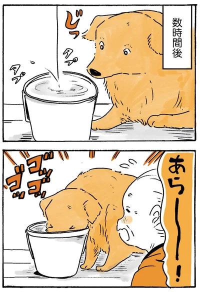 『姫ばあちゃんとナイト-ふたりはきょうも』より