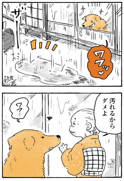 『姫ばあちゃんとナイト-ふたりはきょうも』より