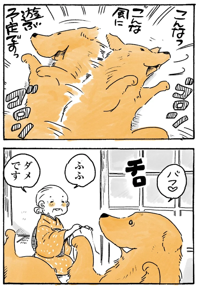 『姫ばあちゃんとナイト-ふたりはきょうも』より