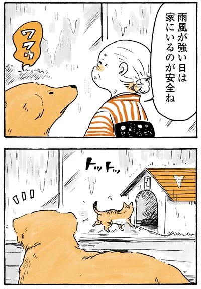『姫ばあちゃんとナイト-ふたりはきょうも』より