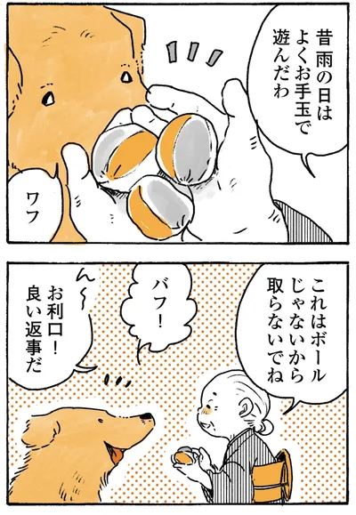 『姫ばあちゃんとナイト-ふたりはきょうも』より