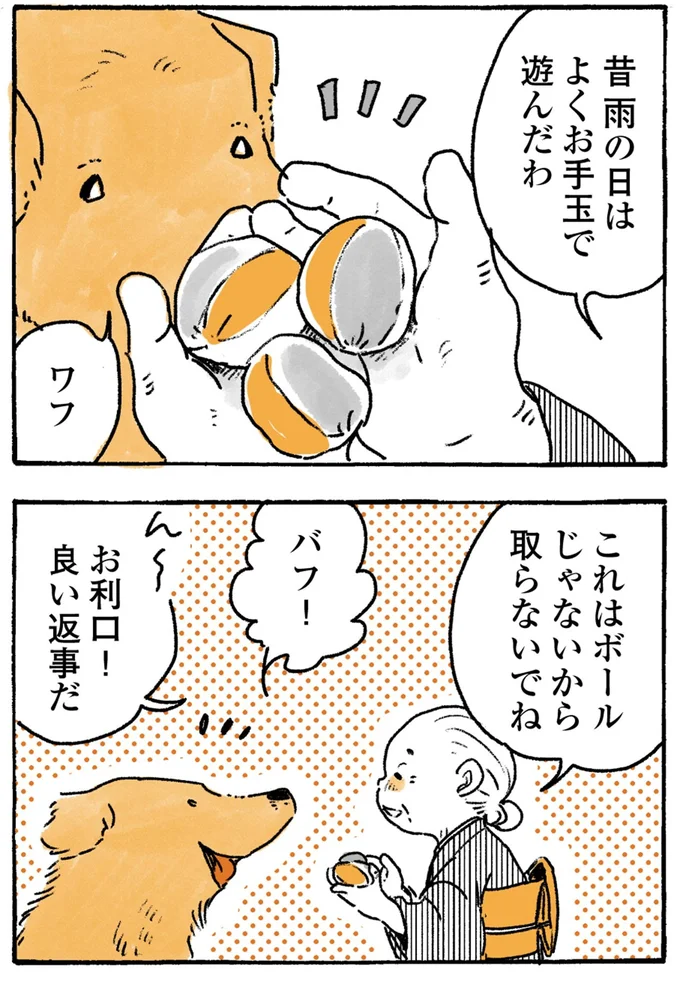 『姫ばあちゃんとナイト-ふたりはきょうも』より