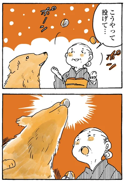 『姫ばあちゃんとナイト-ふたりはきょうも』より