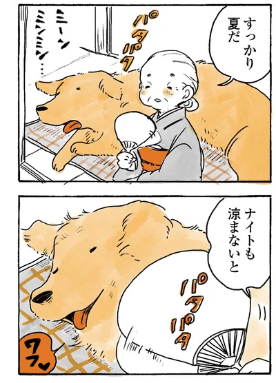 『姫ばあちゃんとナイト-ふたりはきょうも』より