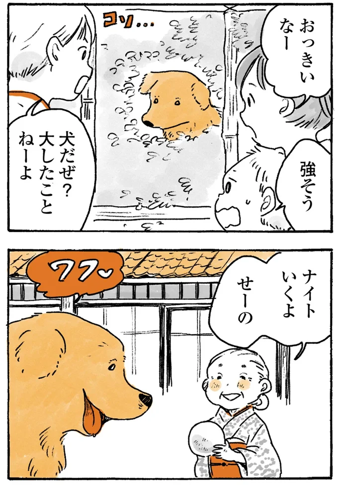 『姫ばあちゃんとナイト-ふたりはきょうも』より