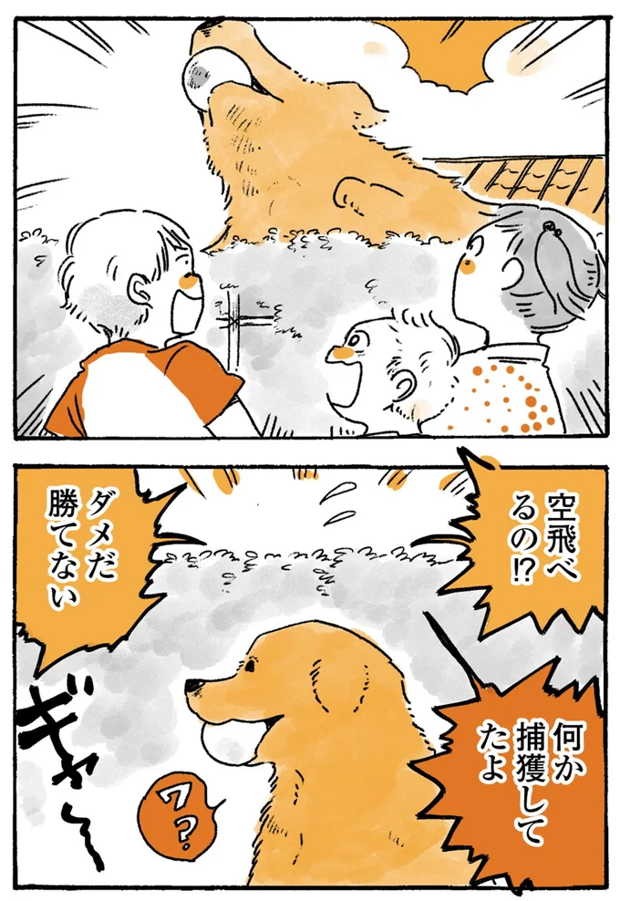 『姫ばあちゃんとナイト-ふたりはきょうも』より