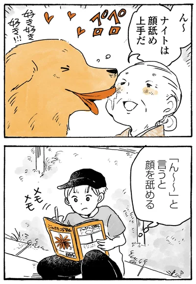 『姫ばあちゃんとナイト-ふたりはきょうも』より