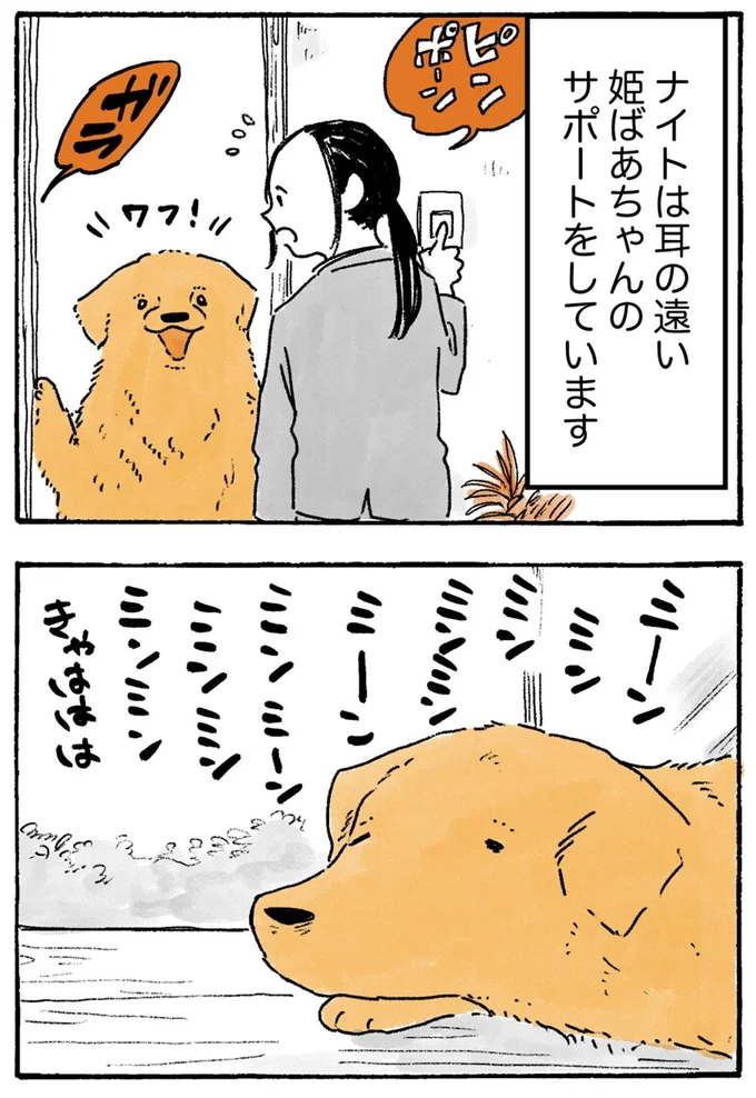 『姫ばあちゃんとナイト-ふたりはきょうも』より