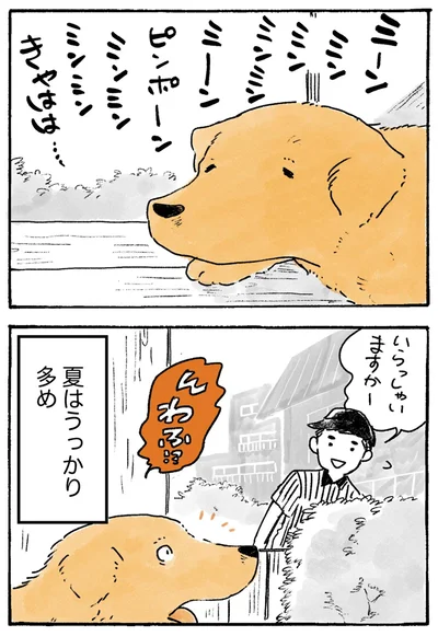 『姫ばあちゃんとナイト-ふたりはきょうも』より