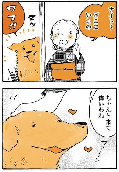 『姫ばあちゃんとナイト-ふたりはきょうも』より