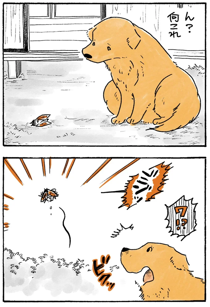 『姫ばあちゃんとナイト-ふたりはきょうも』より