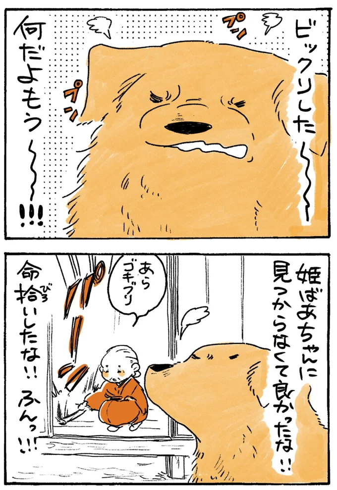 『姫ばあちゃんとナイト-ふたりはきょうも』より