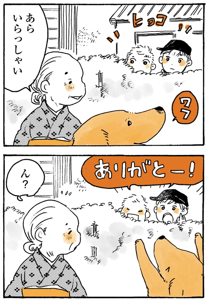 『姫ばあちゃんとナイト-ふたりはきょうも』より